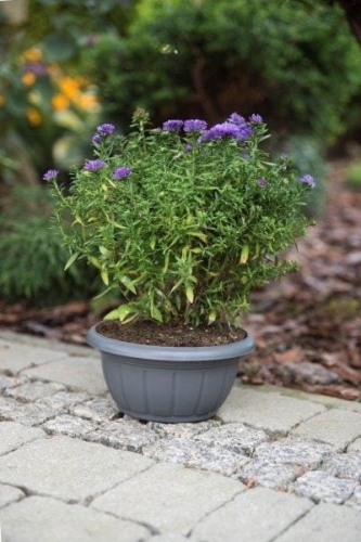 Doniczka misa Verona Verdenia 20 cm grafit – okrągła, 2 L