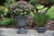 Doniczka misa Verona Verdenia 23 cm terracotta – okrągła, 2,5 L