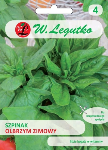 Szpinak Zimowy Olbrzymi 20 g – odporny na mróz | W. Legutko