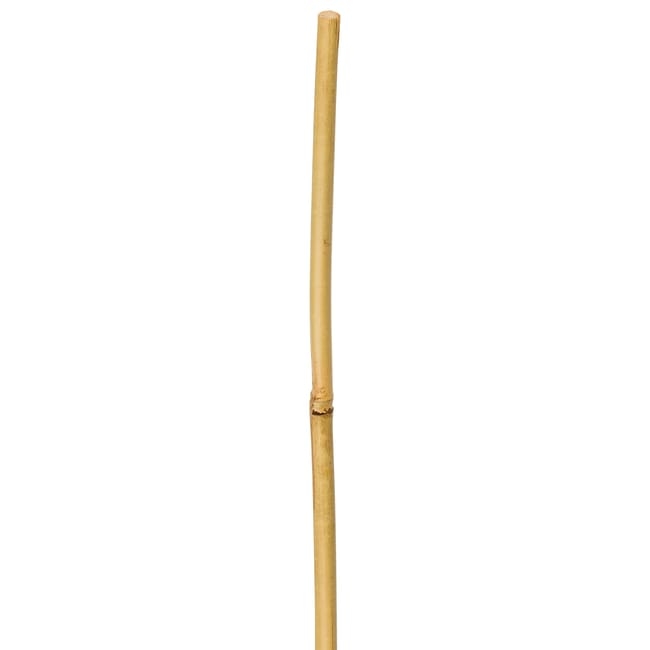 b5b2d8bf321f7b77ffc51ecefaa267d8.jpg