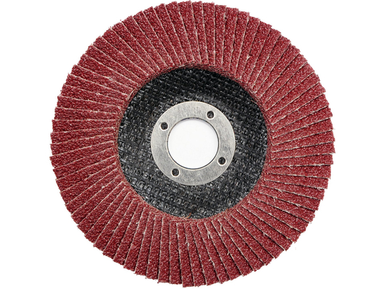pol_pm_SCIERNICA-LISTKOWA-TALERZOWA-P120-125-MM-10004275_1.jpg