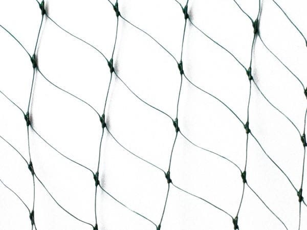 Siatka przeciw ptakom 2x20m Planta